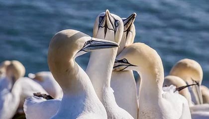 GGBET官方网站-武磊快问快答：在中超最好的朋友是吴曦，最难缠的对手是申花